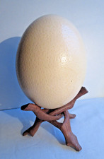 Oeuf d'autruche en coquille épaisse sur son support bois