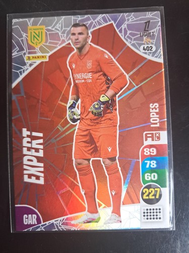 Carte panini adrenalyn - panini, xl