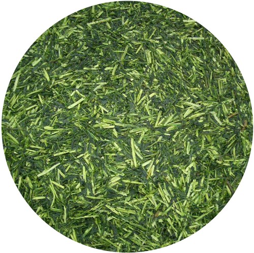Thé vert japonais neuf - thé,