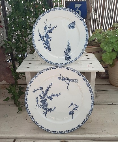 Assiettes desserts - 2,