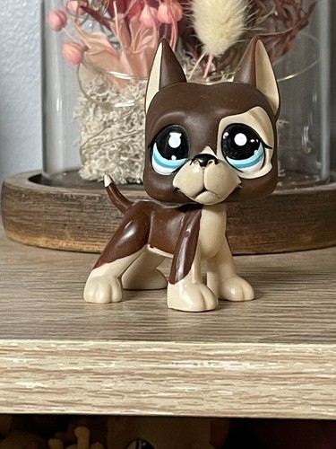 Petshop chien danois - danois, dogue