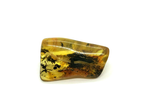 Pièce ambre insectes - 2,
