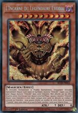 Carte Yu-Gi-Oh! L'incarné Du