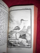 Ornithologie buffon histoire - buffon,