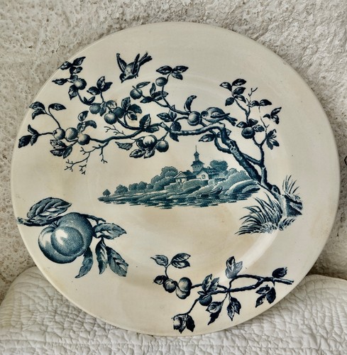 Assiette faïence 19 ème - 19,