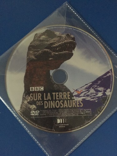 Sur terre des dinosaures - terre,