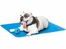 Tapis rafraîchissant pour