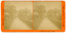 Stereo, Espagne, Alcazar de Séville, palmiers du jardin Vintage stereo card - 