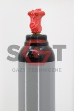 Bouteille d’azote N2 8L