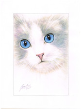 peinture aquarelle originale chat signé Francine avec certificat d'authenticité