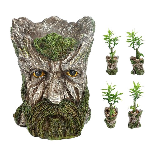 Tête arbre vieil - d'arbre,,