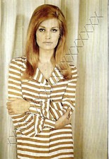 Dalida - Carte Postale couleur