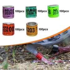 100 anneaux pour pattes de