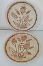 Duo d’assiettes vintage au décor de chardons brun rouille – années 50