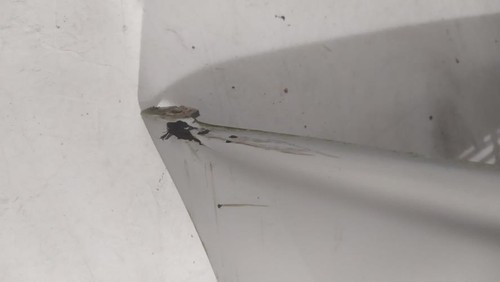 Pare choc avant volkswagen - pare,