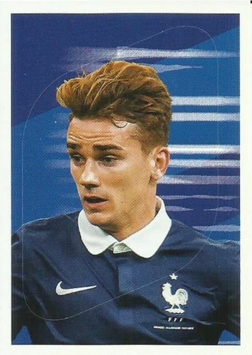Autocollant panini carrefour - panini,