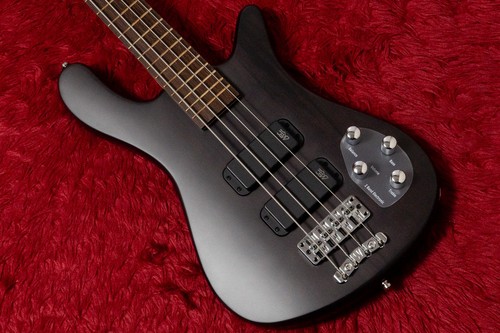 Warwick rock bass - rock,