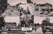 61* REMALARD  multi vues     CPSM(9x14cm)   RL54,0552