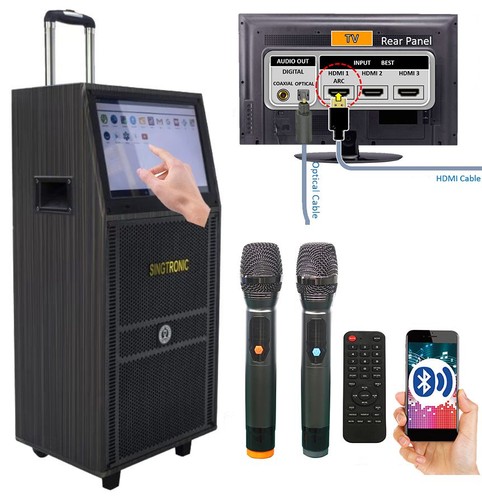 Professional karaoke system - professional,