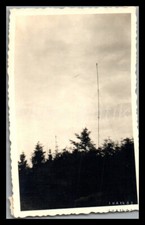 Photo, WW2, campagne de Russie, radio/émetteur en position forêt, L08L