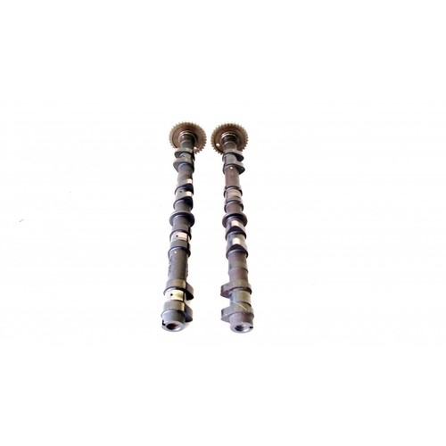 Asse camme moteur - camme,