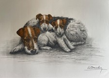 Gravure du peintre animalier Léon Danchin " Dog Fox family" chien fox terrier