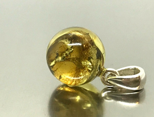 Pendentif ambre insecte cadeau - insecte,