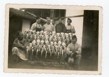 PHOTO SNAPSHOT, militaire cuisine poulet popote ravitaillement cuisinier