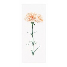 Théa Gouverneur Kit au point de croix compté "Carnation Peach Aïda", 17x42cm