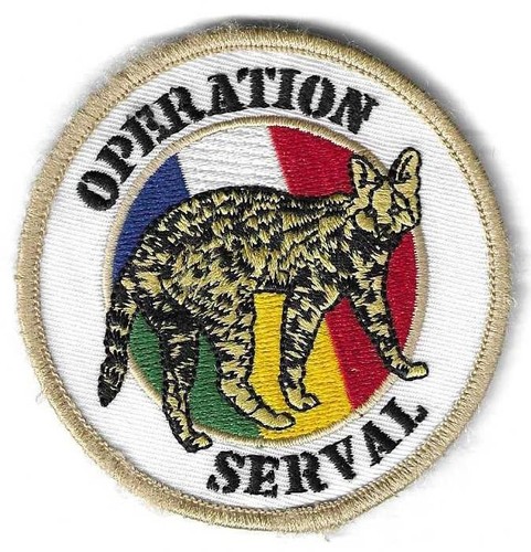 Insigne tissu patch militaire - insigne,