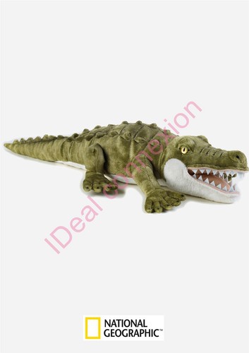 Peluche crocodile national - peluche,