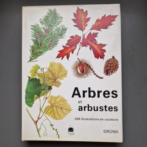 Arbres arbustes 256 - di, et