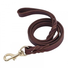 Laisse pour Chien,Laisse en