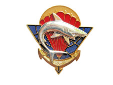 INSIGNE TDM PARACHUTISTES DU 2° RPIMa LA 1° COMPAGNIE (TRANSLUCIDE)  Y. DELSART