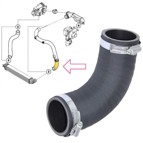 Tuyau intercooler inférieur - tuyau, d'intercooler