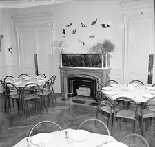 AMBRONAY c. 1950 -Château de St Gras Salle à Manger Ain- Négatif 6 x 6 - N6 ARA7