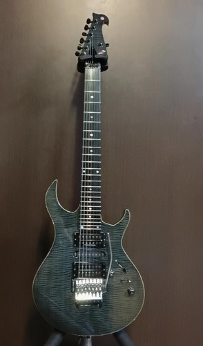 Guitare électrique cordes - guitare, 7