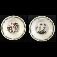 PORTMEIRION BOTANIC GARDEN - 2 ASSIETTES CREUSES 21,7 cm  SUPERBE