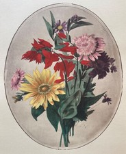Lithographie florale ovale