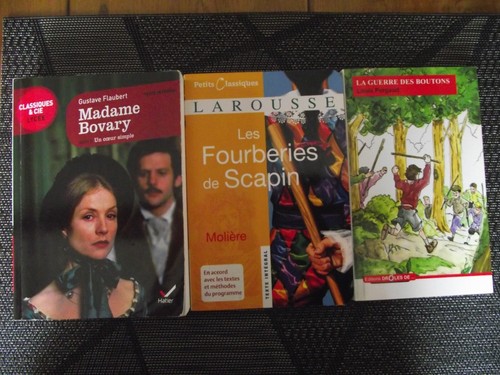 Lot livres scolaires - livres,