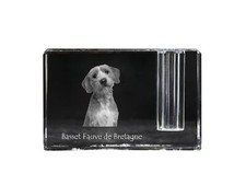 Basset Fauve de Bretagne -