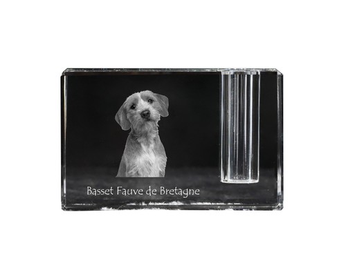 Basset fauve bretagne - basset,