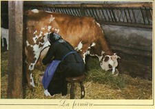*5971 cpm Les Métiers d'Antan