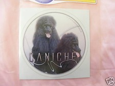 1 autocollant - motif chien