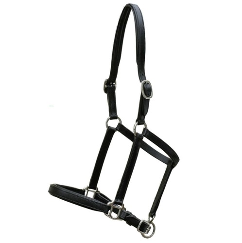 Euroriding foal halter