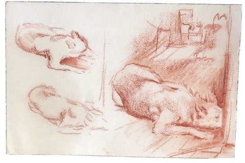 Dessin sanguine par - sanguine,