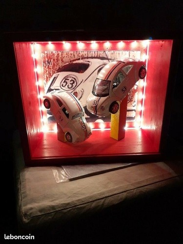 Diorama vitrine coccinelle - vitrine,