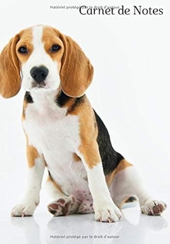 Carnet notes beagle - carnet, de