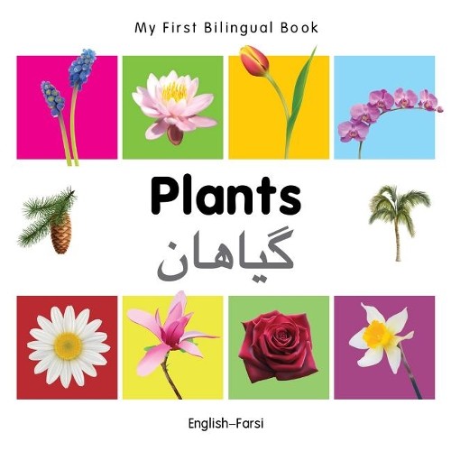 Milet first bilingual book - first,