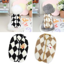 Chien De Compagnie Hiver Chaud